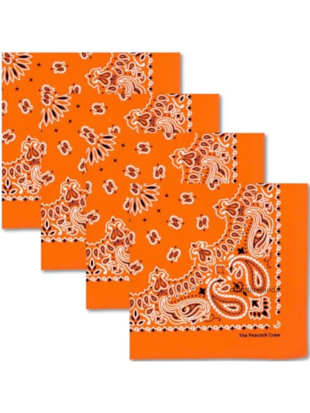 Cotton Paisley Bandanas 4-Pack 22x22 Inch Men Women Unisex